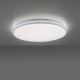 Leuchten Direkt 14209-16 - LED Prigušiva stropna svjetiljka COLIN LED/32,4W/230V