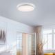 Leuchten Direkt 14209-16 - LED Prigušiva stropna svjetiljka COLIN LED/32,4W/230V