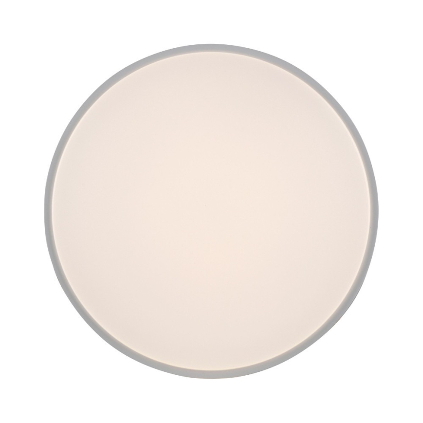 Leuchten Direkt 14209-16 - LED Prigušiva stropna svjetiljka COLIN LED/32,4W/230V