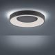 Leuchten Direkt 14326-18 - LED Prigušiva stropna svjetiljka ANIKA LED/30W/230V + daljinsko upravljanje