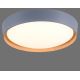 Leuchten Direkt 14347-15 - LED Prigušiva stropna svjetiljka EMILIA LED/28,8W/230V siva
