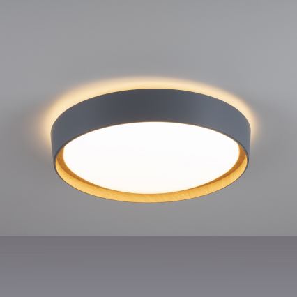Leuchten Direkt 14347-15 - LED stropna svjetiljka s prigušivanjem EMILIA LED/28,8W/230V siva