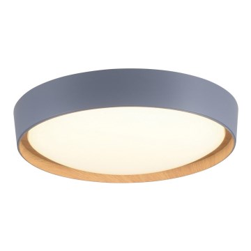 Leuchten Direkt 14347-15 - LED stropna svjetiljka s prigušivanjem EMILIA LED/28,8W/230V siva