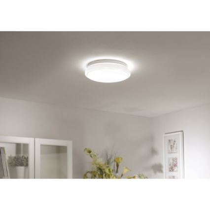 Leuchten Direkt 14362-16 - LED Stropna svjetiljka JUPITER LED/17W/230V 3000/4000/5000K