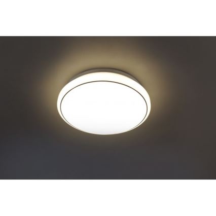 Leuchten Direkt 14362-16 - LED Stropna svjetiljka JUPITER LED/17W/230V 3000/4000/5000K