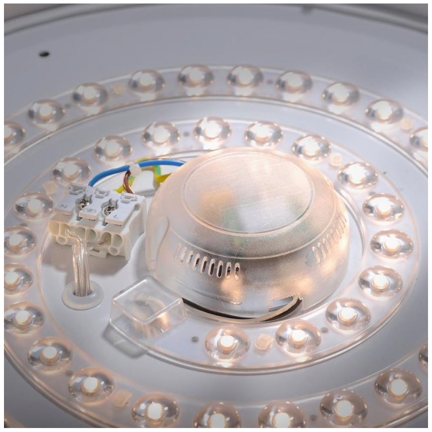Leuchten Direkt 14422-17 - LED Stropna svjetiljka za kupaonicu sa senzorom LAVINIA LED/18W/230V IP44
