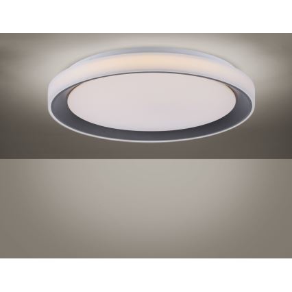 Leuchten Direkt 14659-18 - LED RGB Prigušiva stropna svjetiljka LOLA LED/24W/230V Tuya + daljinsko upravljanje