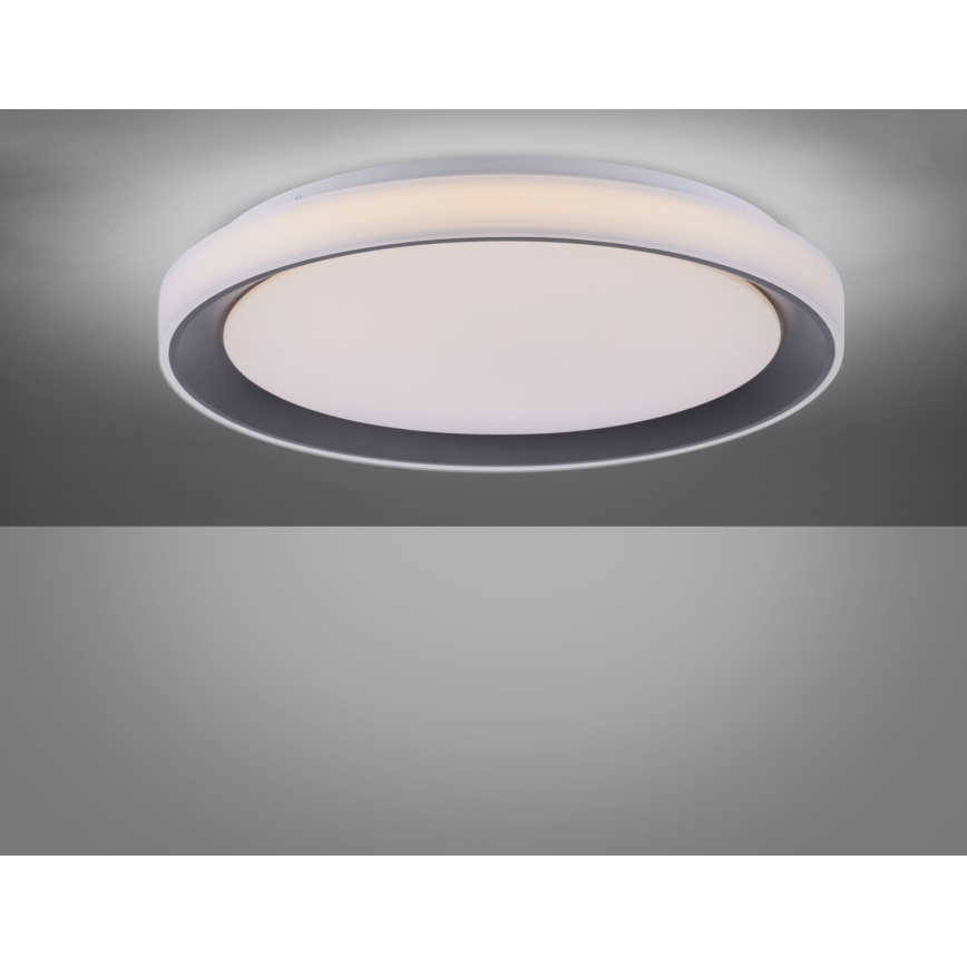 Leuchten Direkt 14659-18 - LED RGB Prigušiva stropna svjetiljka LOLA LED/24W/230V Tuya + daljinsko upravljanje