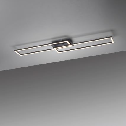 Leuchten Direkt 14691-18 - LED Prigušiva stropna svjetiljka IVEN LED/36W/230V