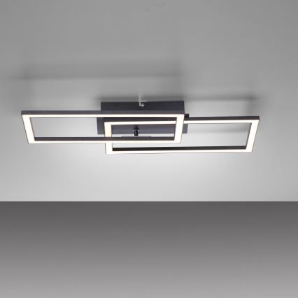 Leuchten Direkt 14692-18 - LED Prigušiva stropna svjetiljka IVEN LED/36W/230V