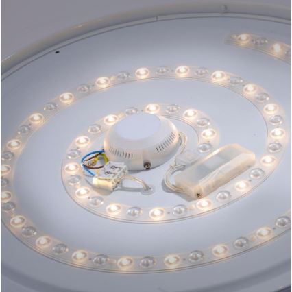 Leuchten Direkt 14822-17 - LED Stropna svjetiljka za kupaonicu sa senzorom LAVINIA LED/40W/230V IP44