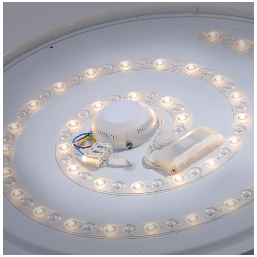 Leuchten Direkt 14822-17 - LED Stropna svjetiljka za kupaonicu sa senzorom LAVINIA LED/40W/230V IP44