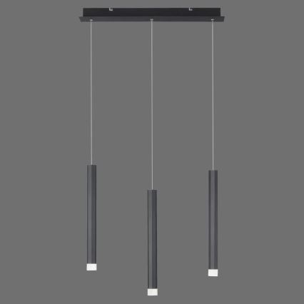 Leuchten Direkt 15203-18 - LED luster na sajli 3xLED/4,8W/230V crna