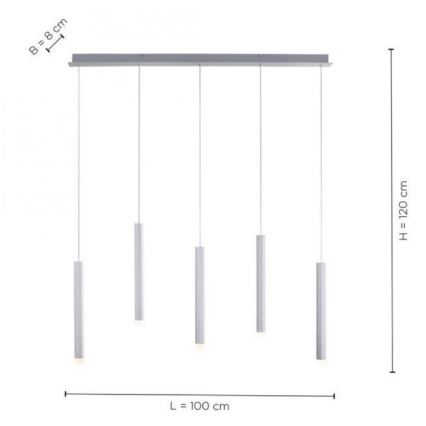 Leuchten Direkt 15205-95 - LED luster na sajli BRUNO 5xLED/4,8W/230V