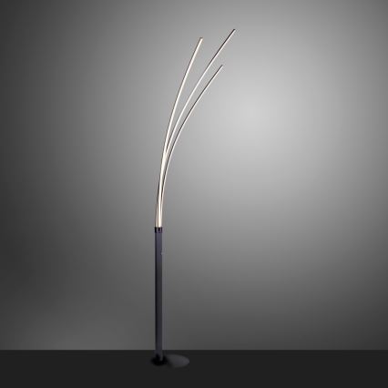 Leuchten Direkt 15383-55 - LED Podna lampa MAJA LED/13W/230V crna