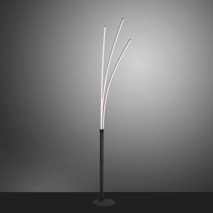 Leuchten Direkt 15383-55 - LED Podna lampa MAJA LED/13W/230V crna
