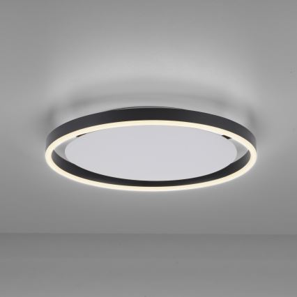 Leuchten Direkt 15391-13 - LED Prigušiva stropna svjetiljka RITUS LED/20W/230V crna