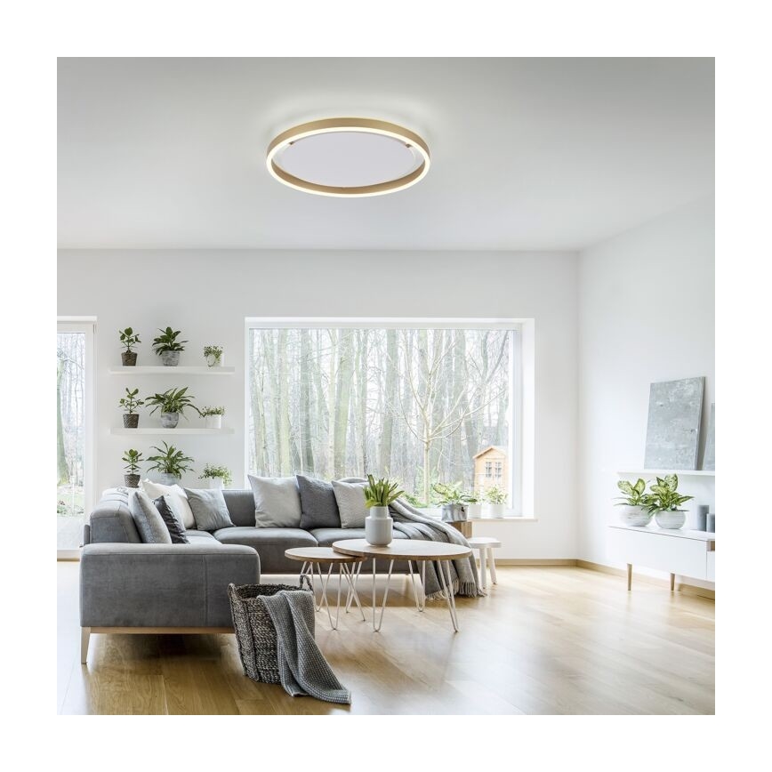 Leuchten Direkt 15392-60 - LED Prigušiva stropna svjetiljka RITUS LED/30W/230V mesing