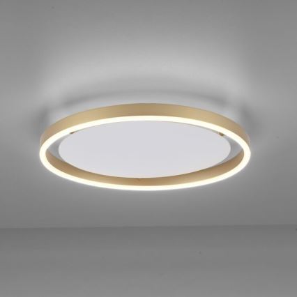 Leuchten Direkt 15392-60 - LED Prigušiva stropna svjetiljka RITUS LED/30W/230V mesing