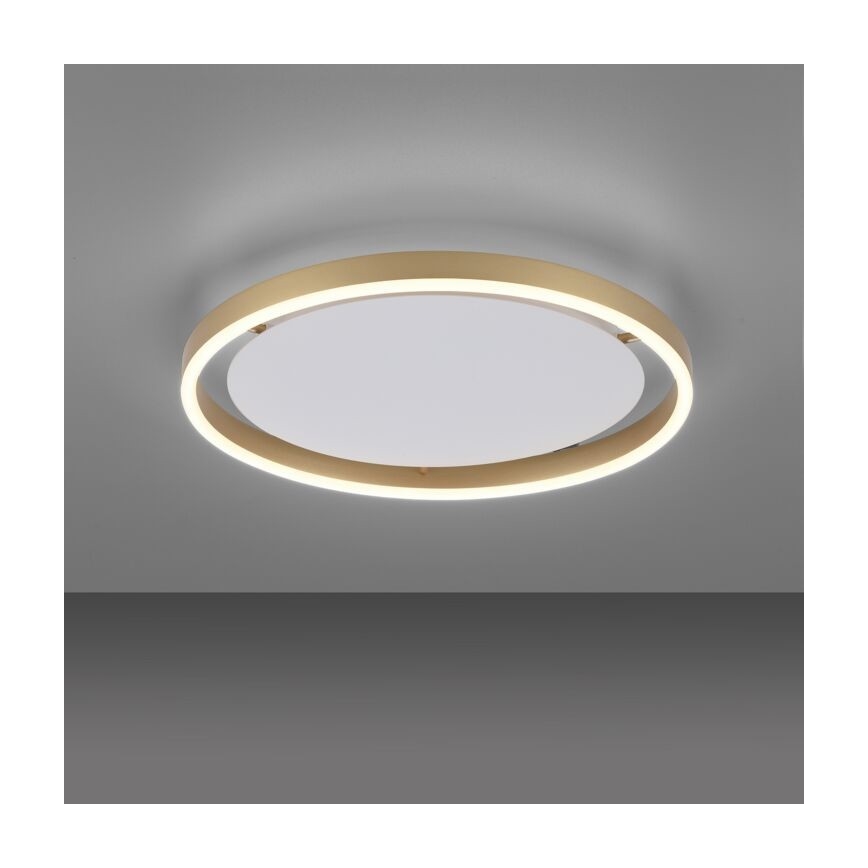 Leuchten Direkt 15392-60 - LED Prigušiva stropna svjetiljka RITUS LED/30W/230V mesing