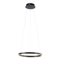 Leuchten Direkt 15393-13 - LED luster na sajli s mogućnošću prigušivanja RITUS LED/23,5W/230V crna