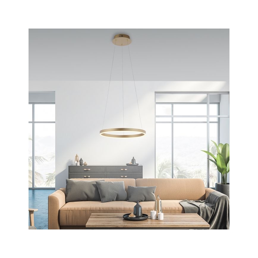 Leuchten Direkt 15393-60 - LED Prigušivi luster na sajli RITUS LED/20W/230V