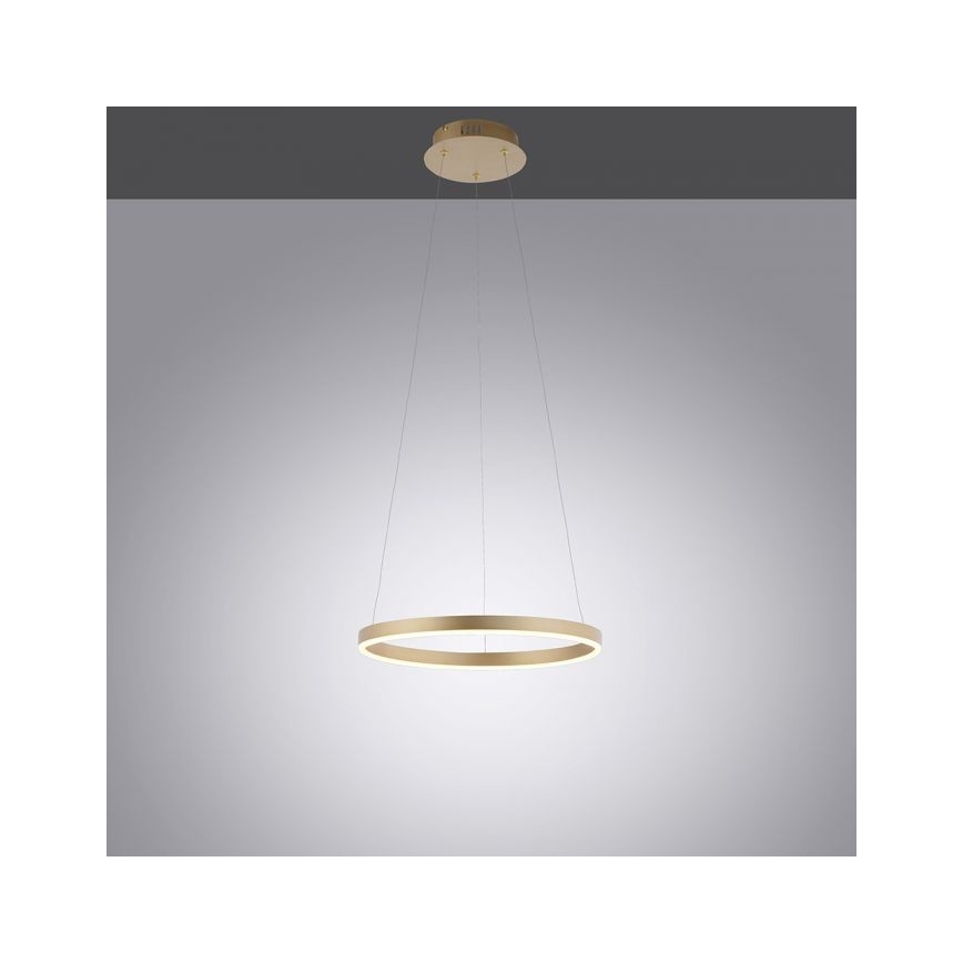 Leuchten Direkt 15393-60 - LED Prigušivi luster na sajli RITUS LED/20W/230V