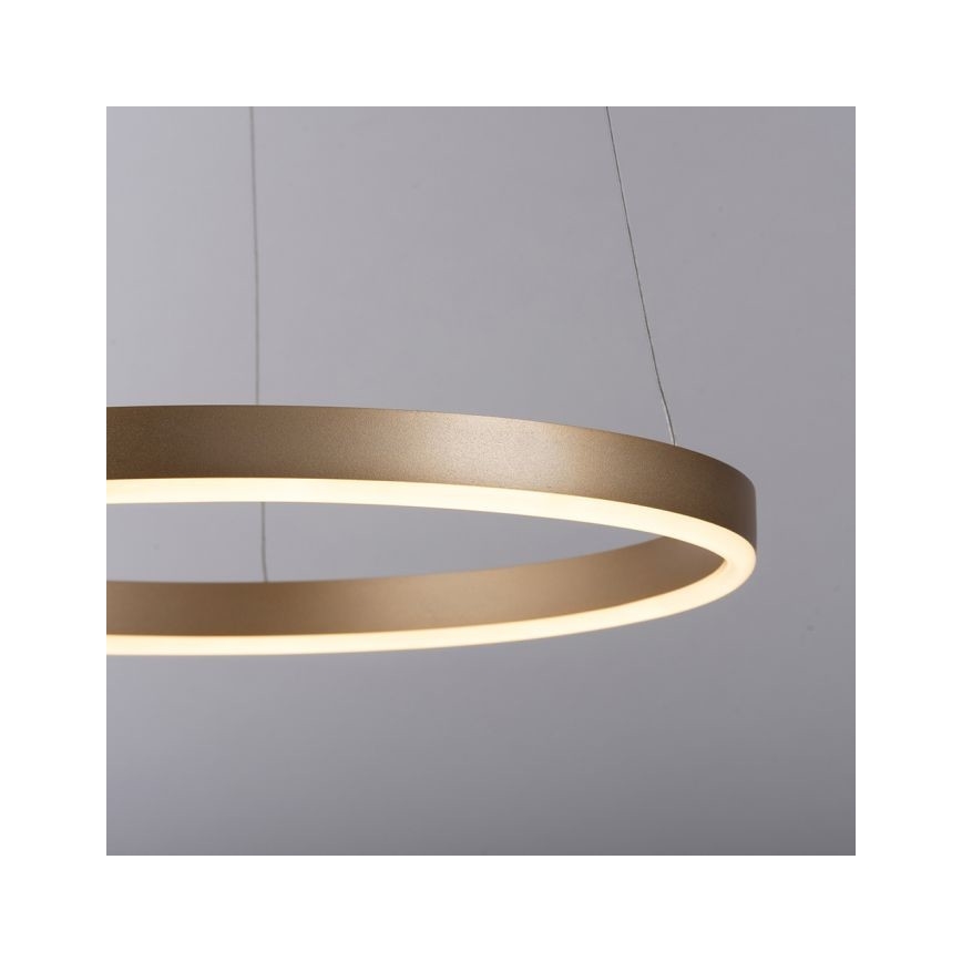 Leuchten Direkt 15393-60 - LED Prigušivi luster na sajli RITUS LED/20W/230V