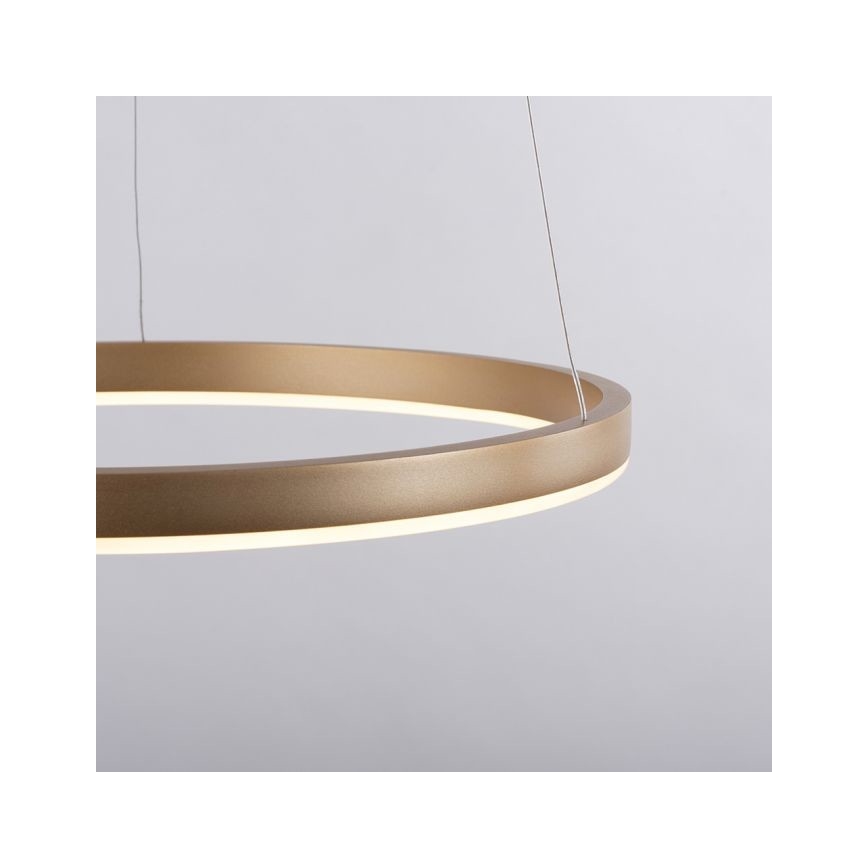 Leuchten Direkt 15393-60 - LED Prigušivi luster na sajli RITUS LED/20W/230V