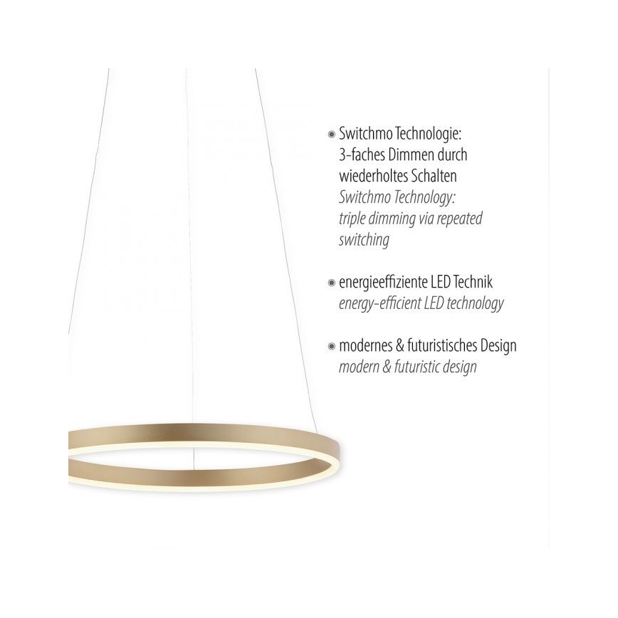 Leuchten Direkt 15393-60 - LED Prigušivi luster na sajli RITUS LED/20W/230V