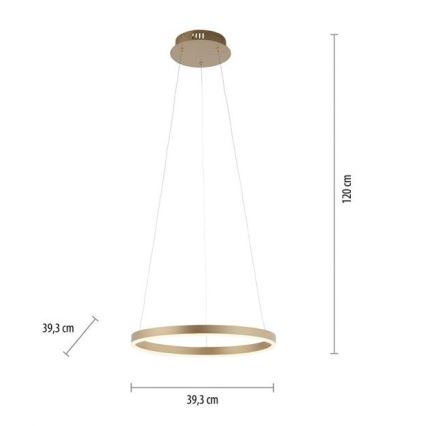 Leuchten Direkt 15393-60 - LED Prigušivi luster na sajli RITUS LED/20W/230V