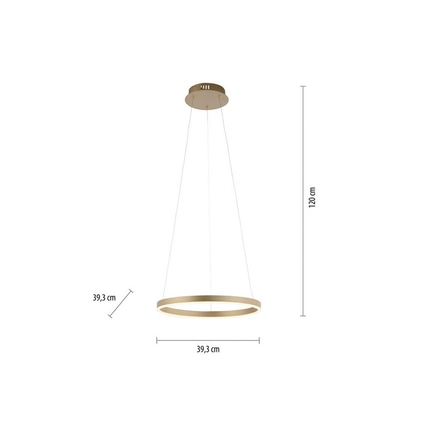 Leuchten Direkt 15393-60 - LED Prigušivi luster na sajli RITUS LED/20W/230V