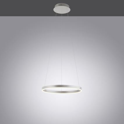 Leuchten Direkt 15393-95 - LED Prigušivi luster na sajli RITUS LED/20W/230V mat krom