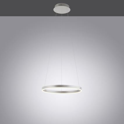 Leuchten Direkt 15393-95 - LED Prigušivi luster na sajli RITUS LED/20W/230V krom