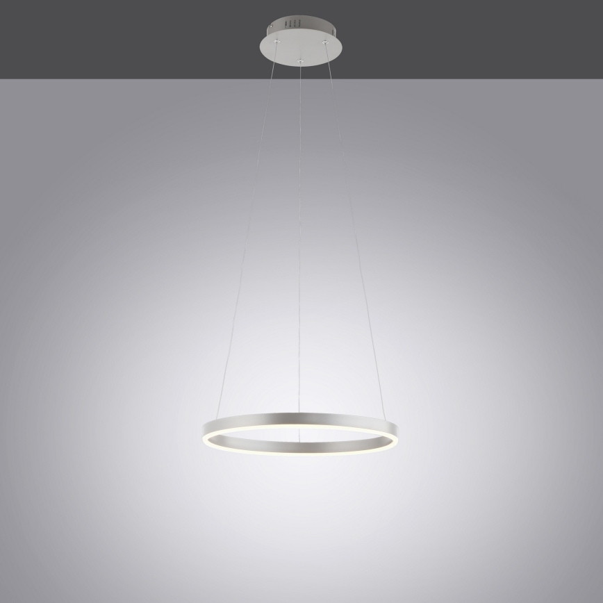 Leuchten Direkt 15393-95 - LED Prigušivi luster na sajli RITUS LED/20W/230V mat krom