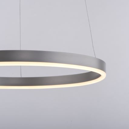 Leuchten Direkt 15393-95 - LED Prigušivi luster na sajli RITUS LED/20W/230V mat krom
