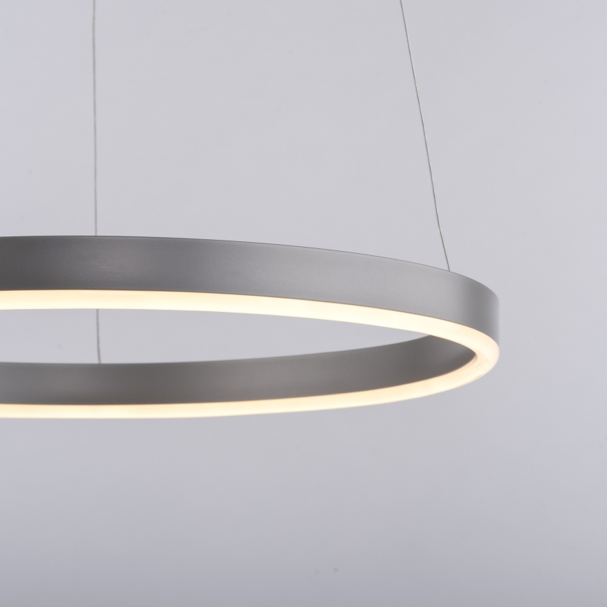 Leuchten Direkt 15393-95 - LED Prigušivi luster na sajli RITUS LED/20W/230V mat krom