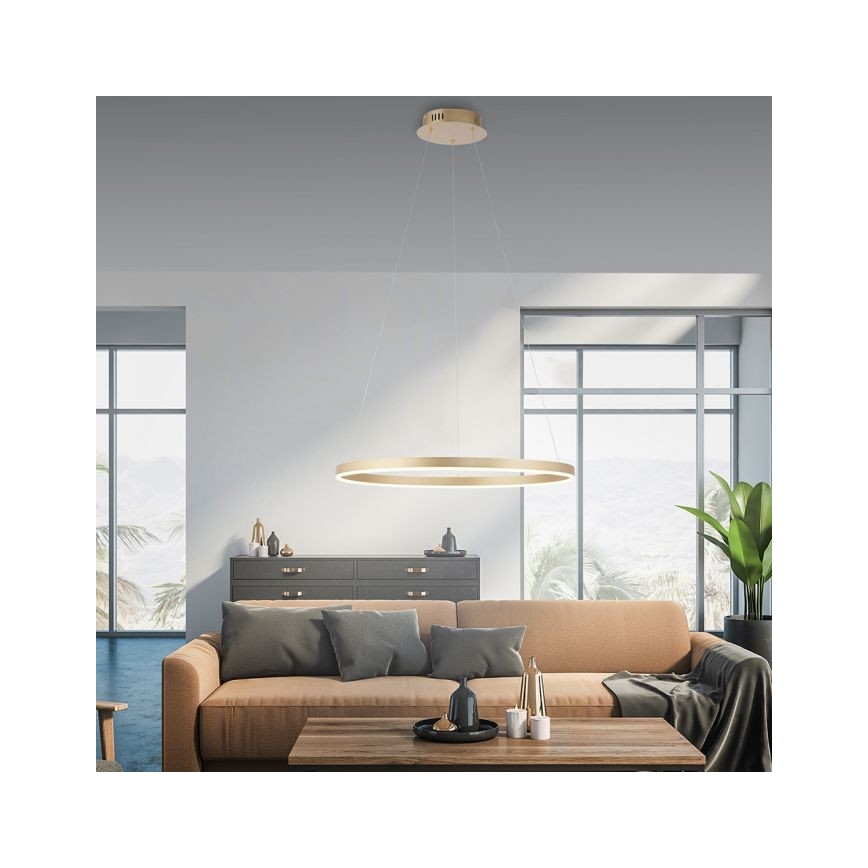 Leuchten Direkt 15394-60 - LED Prigušivi luster na sajli RITUS LED/30W/230V mesing
