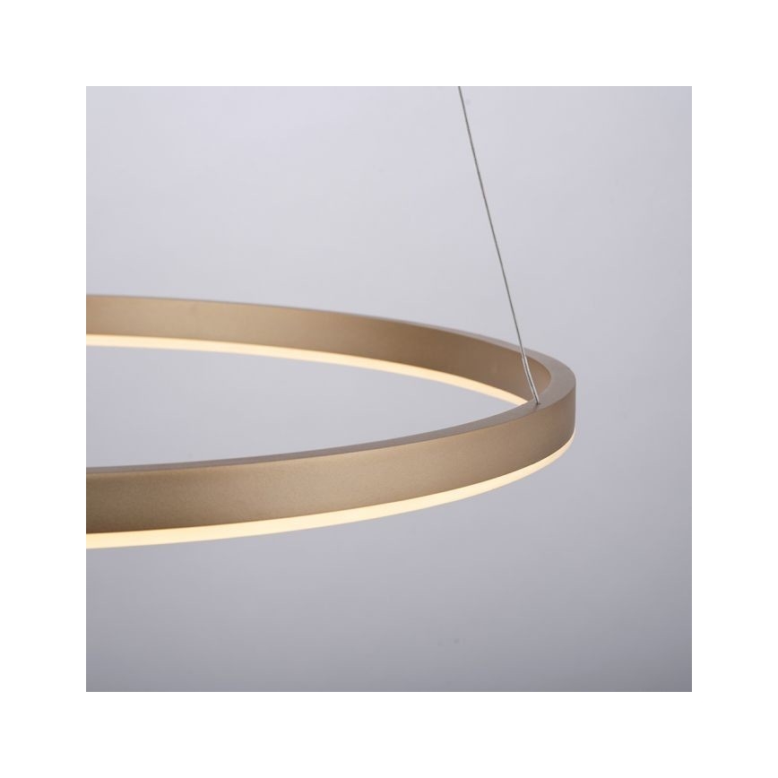 Leuchten Direkt 15394-60 - LED Prigušivi luster na sajli RITUS LED/30W/230V mesing