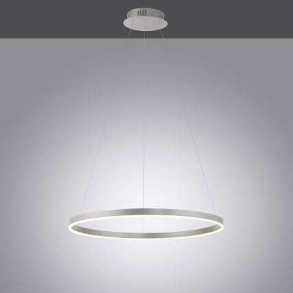 Leuchten Direkt 15394-95 - LED Prigušivi luster na sajli RITUS LED/30W/230V mat krom