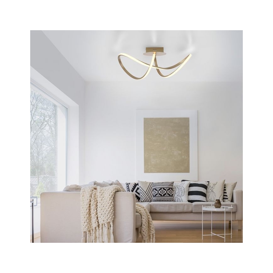 Leuchten Direkt 15403-60 - LED Prigušivi nadgradni luster MARIA LED/15,5W/230V