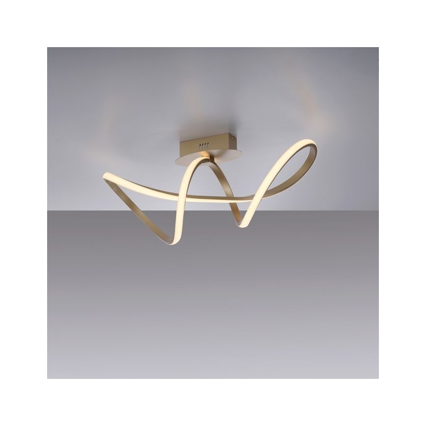 Leuchten Direkt 15403-60 - LED Prigušivi nadgradni luster MARIA LED/15,5W/230V