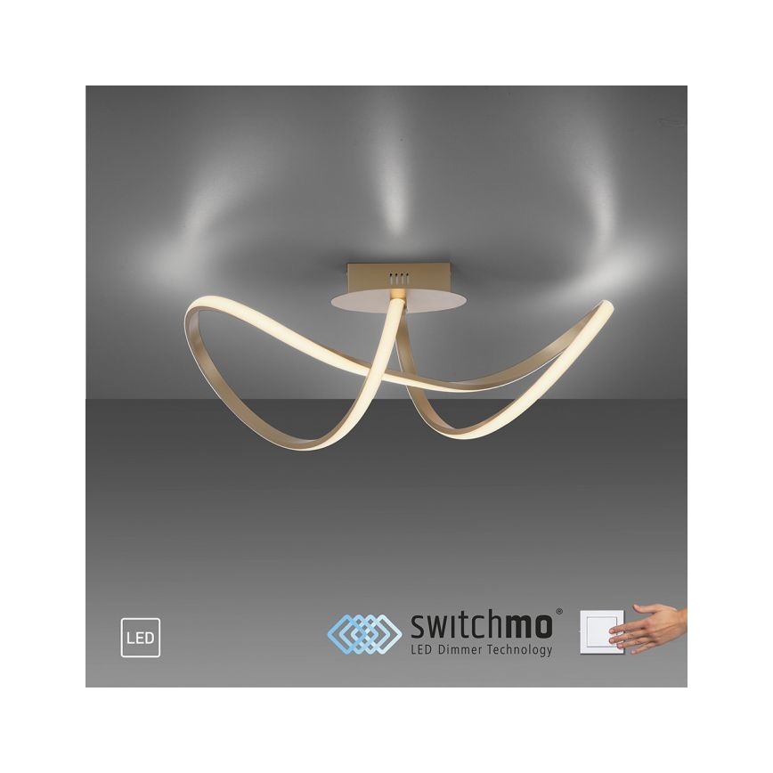 Leuchten Direkt 15403-60 - LED Prigušivi nadgradni luster MARIA LED/15,5W/230V