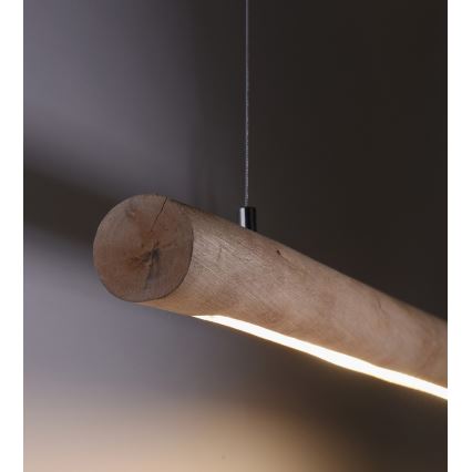 Leuchten Direkt 15560-18 - LED luster na sajli TRUNK LED/18W/230V