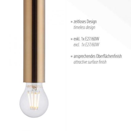 Leuchten Direkt 15617-60 - Luster na sajli BRUNA 1xE27/60W/230V mesing