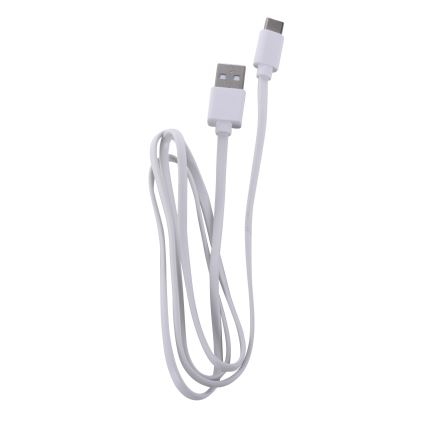 Leuchten Direkt 19250-16 - LED Vanjska prigušiva punjiva stolna lampa EURIA LED/3W/5V 2600 mAh IP54 bijela