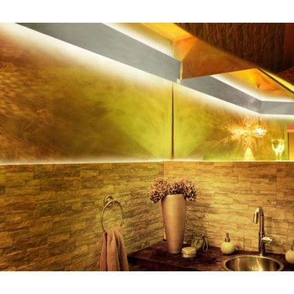 Leuchten Direkt 81219-70 - LED RGB Prigušiva traka TEANIA 10m LED/24W/12/230V + daljinski upravljač