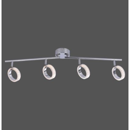 Leuchten Direkt L10504-17 - LED Reflektorska svjetiljka ANGELO 4xLED/3,5W/230V