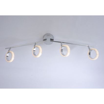 Leuchten Direkt L10504-17 - LED Reflektorska svjetiljka ANGELO 4xLED/3,5W/230V