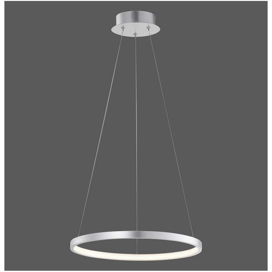 Leuchten Direkt L16270-21 - LED RGB Prigušivi luster na sajli CIRCLE LED/25W/230V + daljinski upravljač
